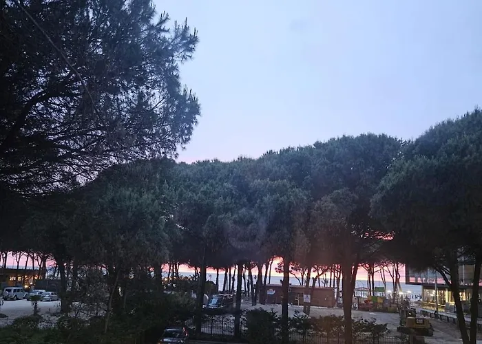 Pinea Mare * Golem (Tirana)