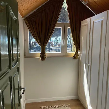 Pinea Mare * Golem (Tirana)