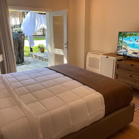 Pinea Mare Golem (Tirana)