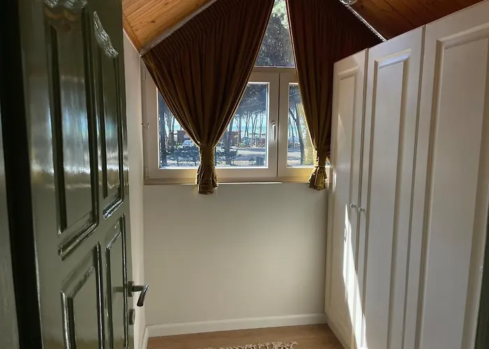 Pinea Mare * Golem (Tirana)